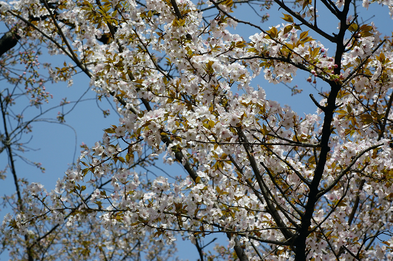 image0167