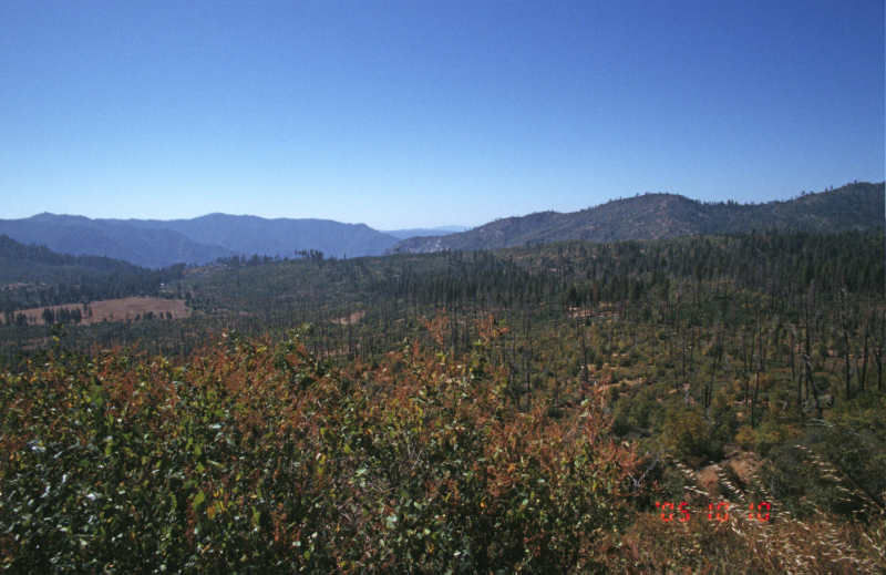 image0158