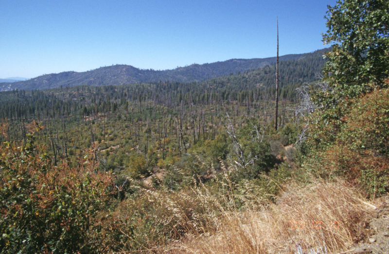 image0159