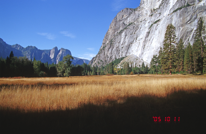 image0186
