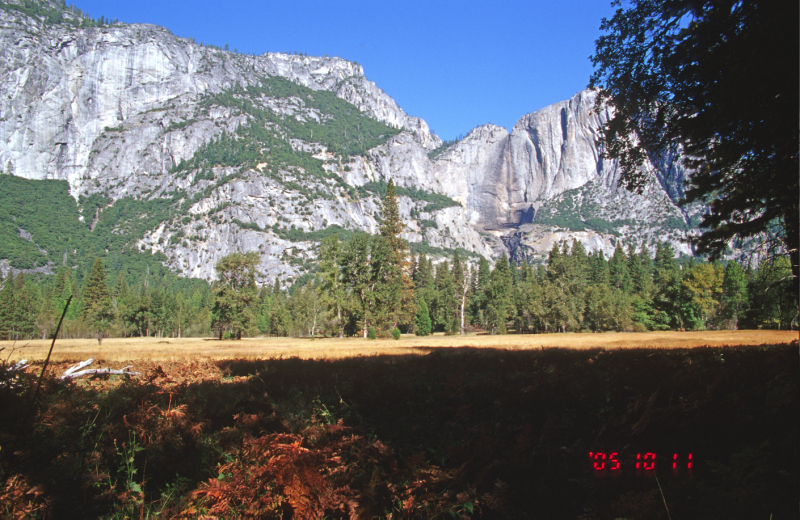image0189