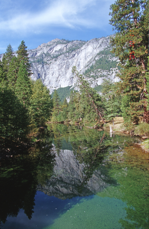 image0195
