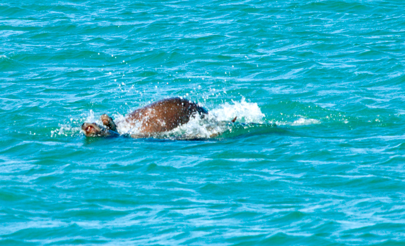image0422
