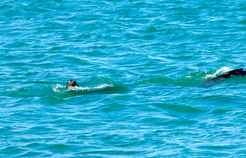 image0425