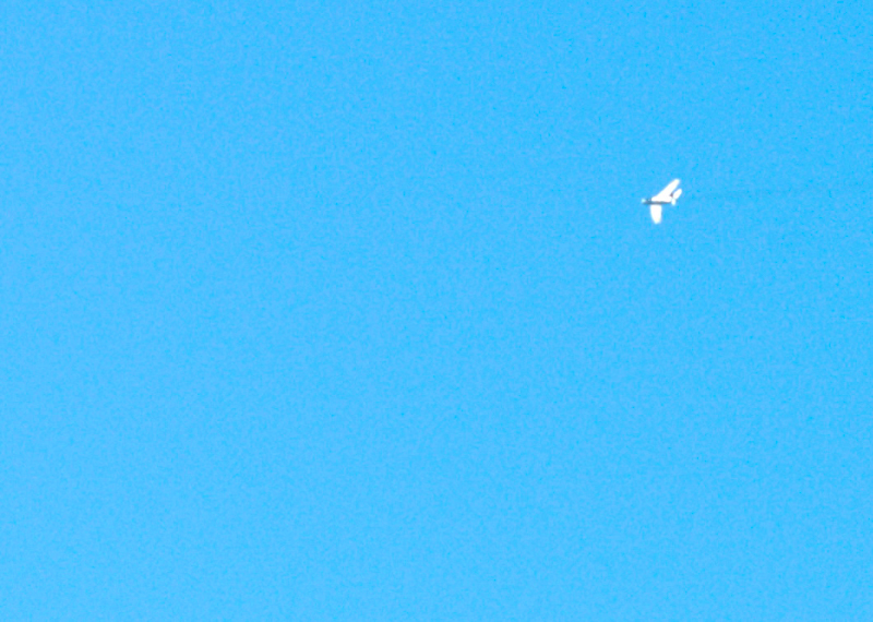 image0552