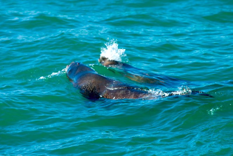 image0674