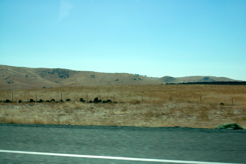 image0876