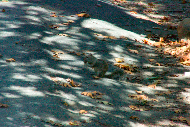 image0920