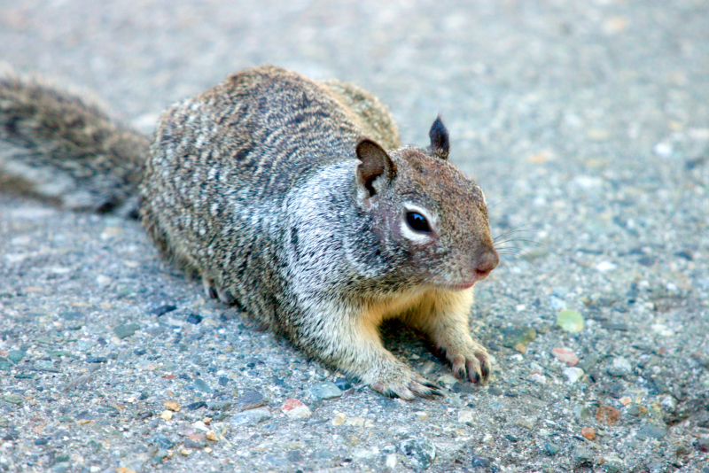 image0927