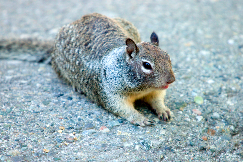 image0928
