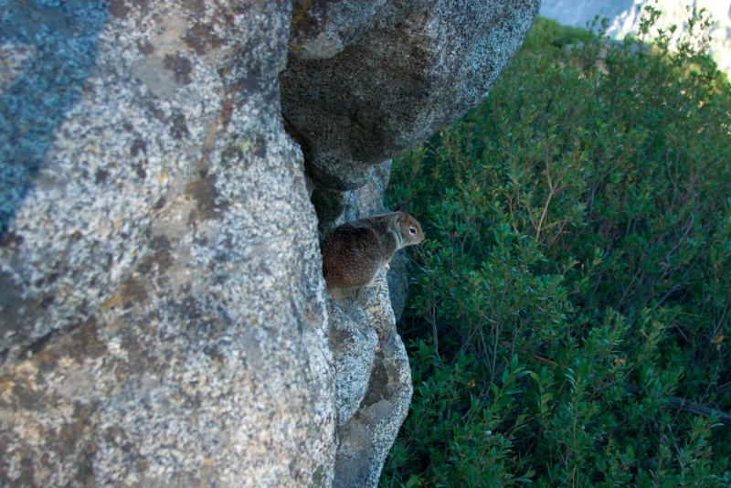 image0931