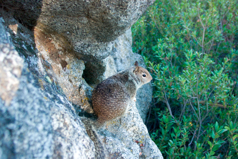 image0932