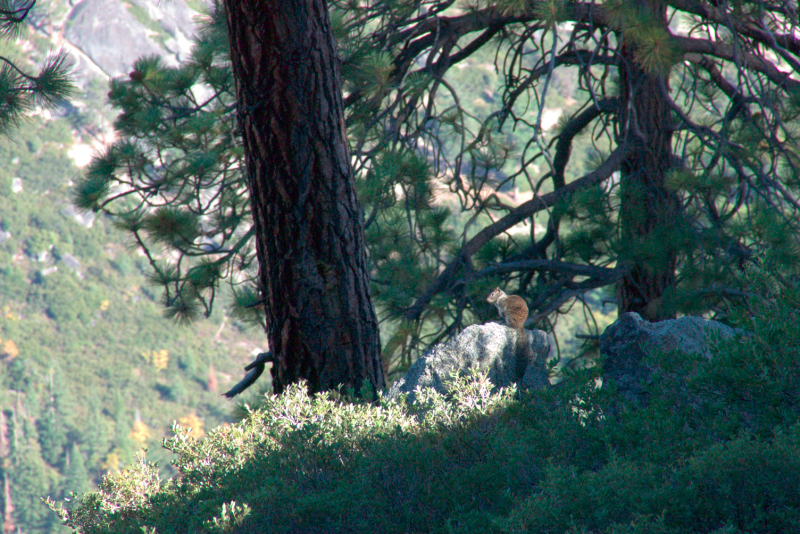image0950