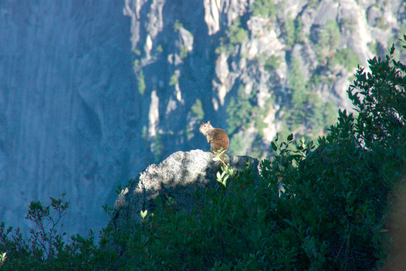 image0951
