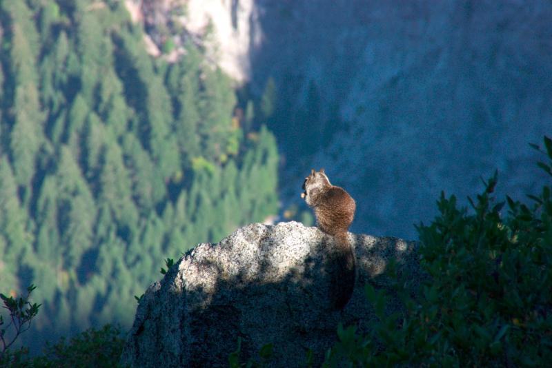 image0952