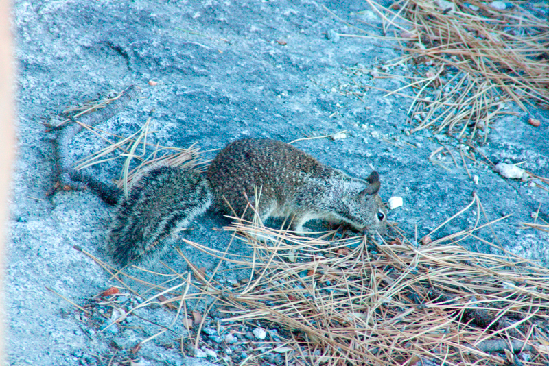 image0955