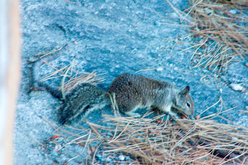 image0956