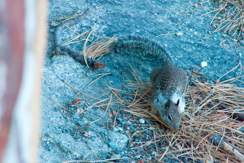 image0957