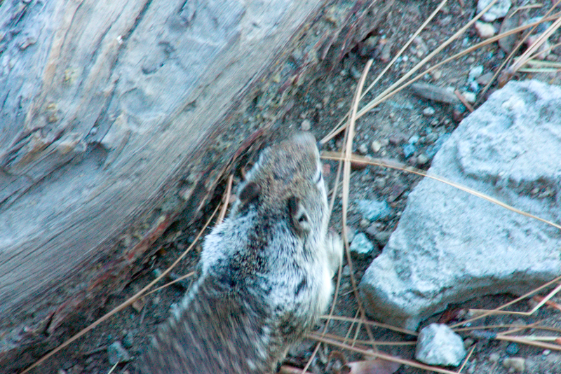 image0958