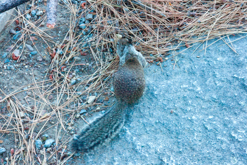 image0959