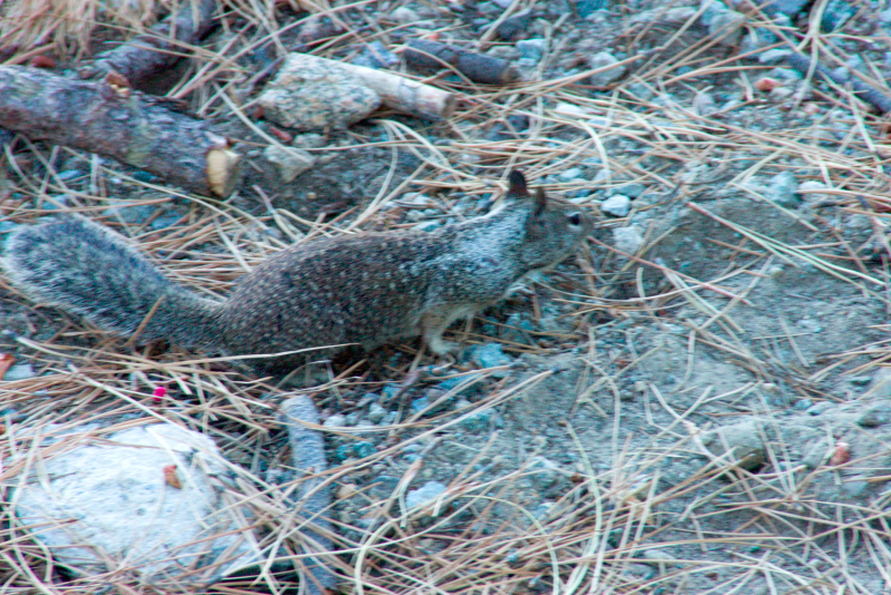 image0962