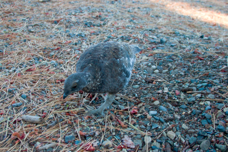 image0969