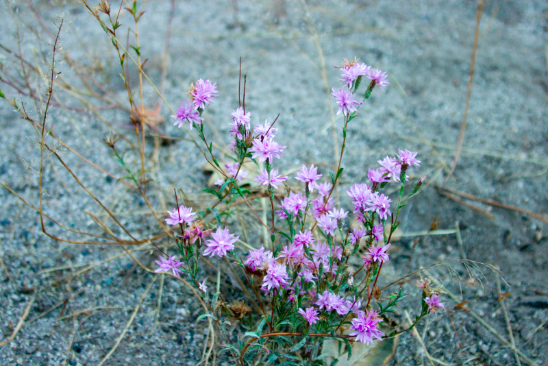 image0999