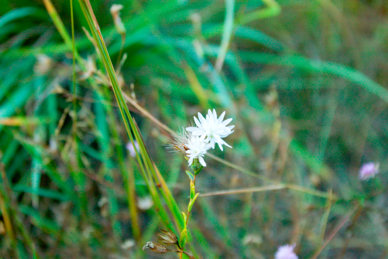 image1004