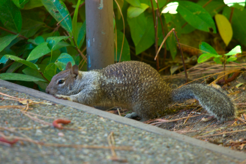 image1011