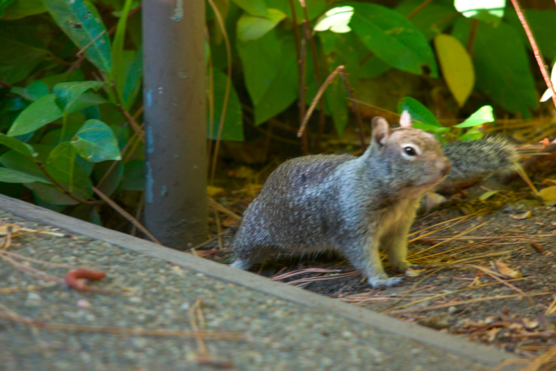 image1012
