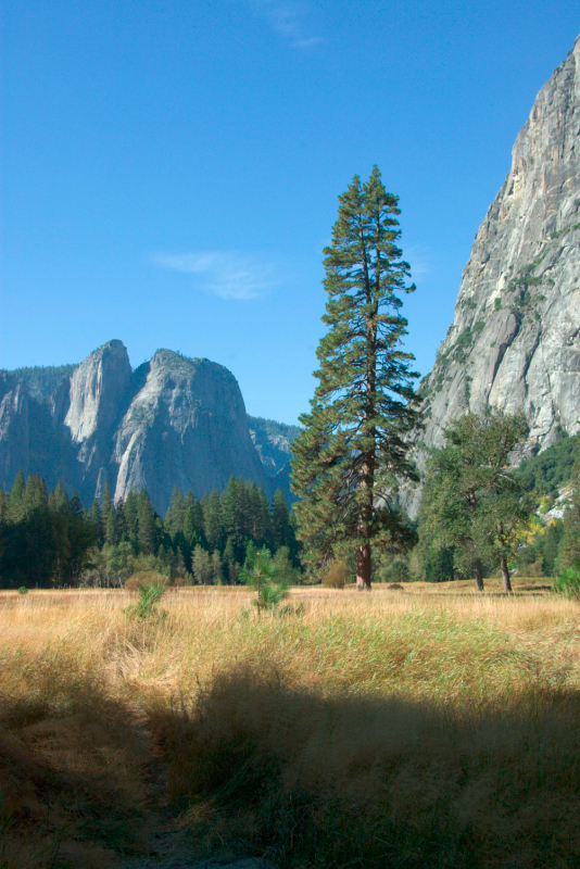 image1015