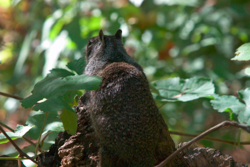 image1045