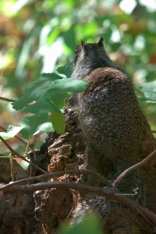 image1046