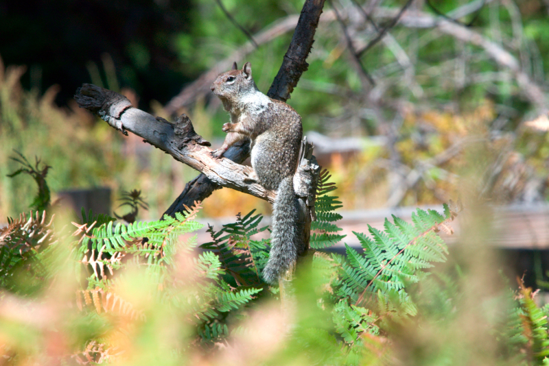 image1055
