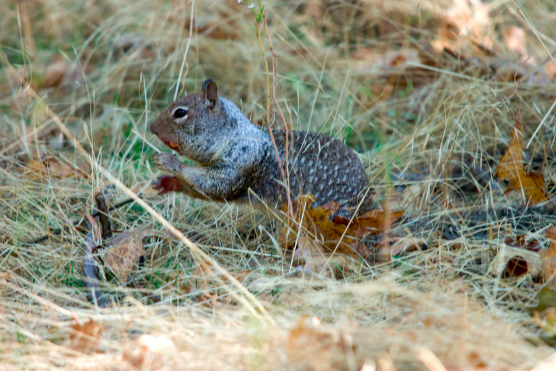 image1058