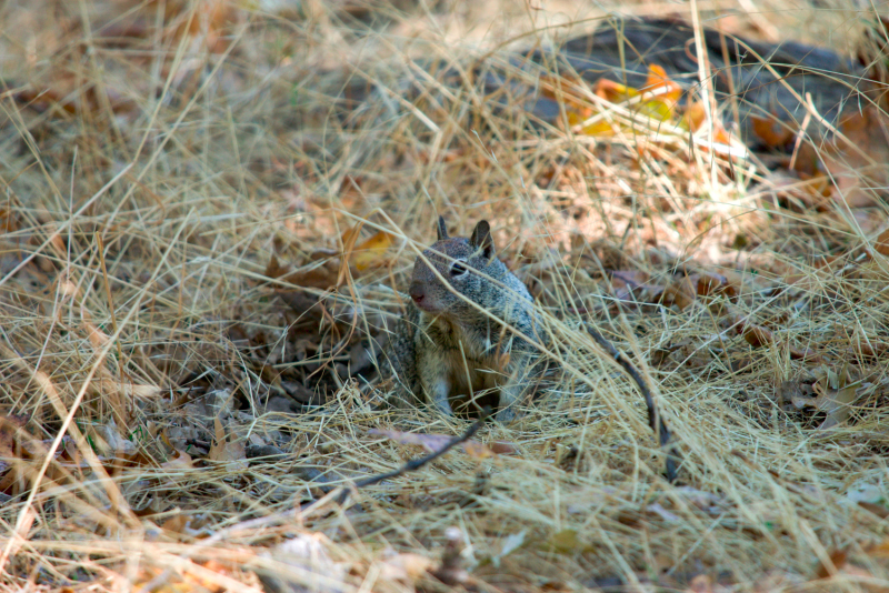 image1059