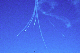 image0121