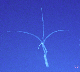 image0151