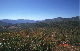 image0158