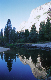 image0185