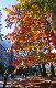 image0193