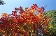 image0194