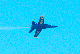 image0275