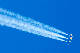 image0308