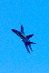 image0312