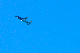 image0353