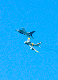 image0355