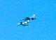 image0369