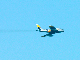 image0374