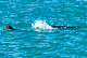 image0423